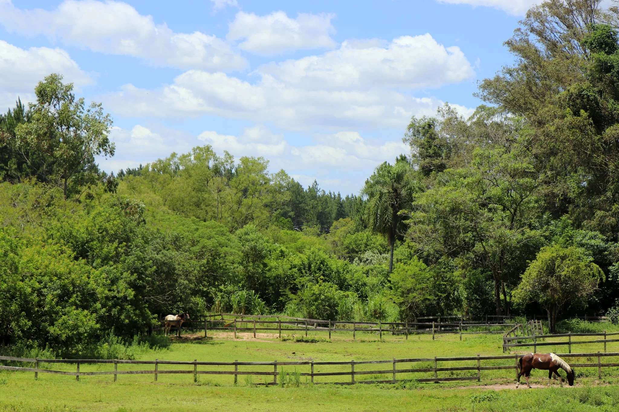 Foto do album Campo Bom